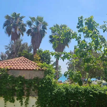 Near The Sea Apartment Alanya